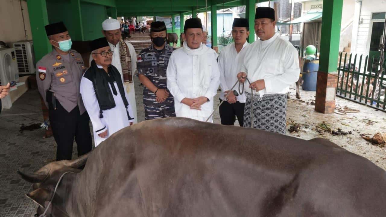 Eid al-Adha 1445 Hijriah, President Jokowi donates 2 cows to the people of Lingga
